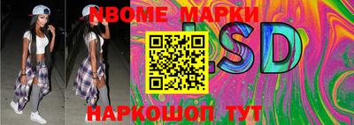 мяу мяу мука Малоярославец