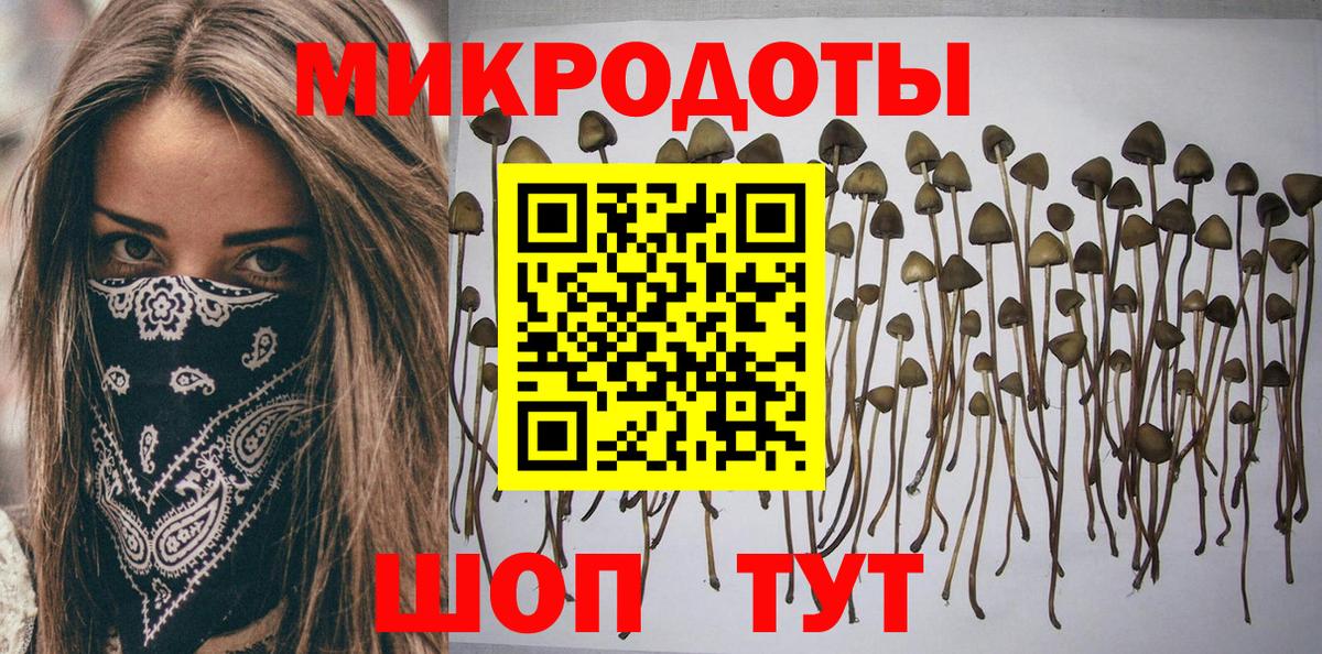 Галлюциногенные грибы мицелий  Вход с VPN  Десногорск 
